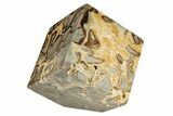 Wide, Polished Septarian Cube - Utah #207811-2